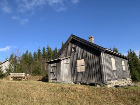 Vinteren nærmer seg, lemmene er satt på